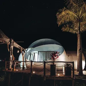 greenland-bubble-glamping.comcaribbean.com/